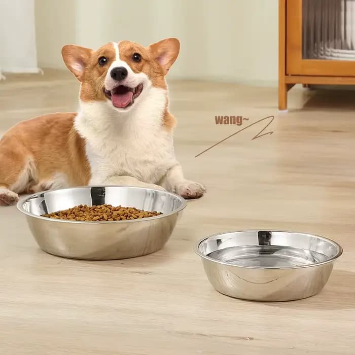 Bol pour animaux de compagnie en acier inoxydable pour chiens et chats