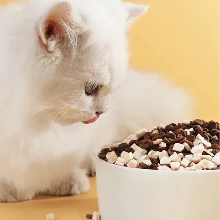 Collations jetables pour animaux de compagnie