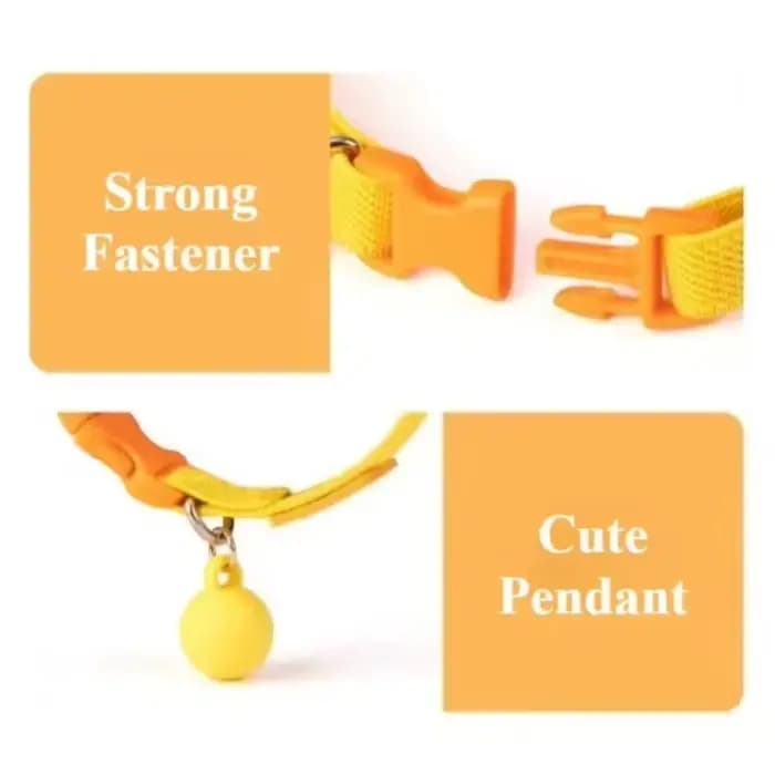 Collier de sécurité pour chat