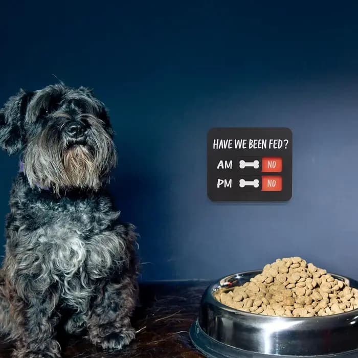 Tableau de rappel d'alimentation pour animaux de compagnie AM/PM avec aimants coulissants Oui/Non – Panneau