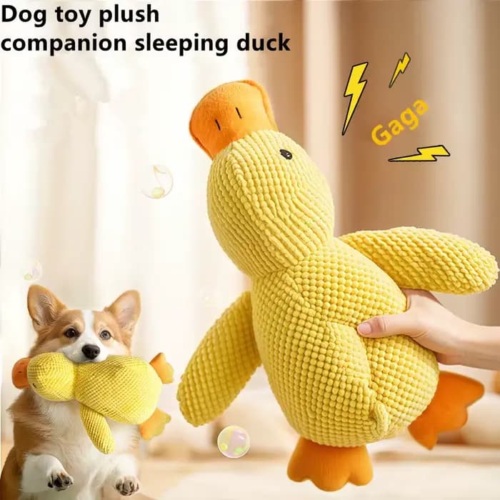 Jouet en peluche pour animaux de compagnie