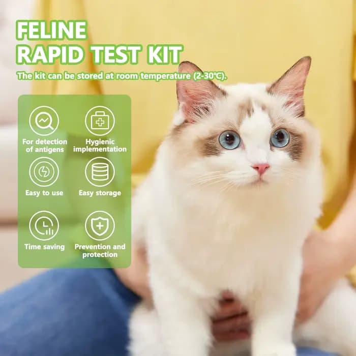 Analyste de test de chlore pour immunodéficience féline et leucémie pour chats, FIV + FeLV, 10 pièces