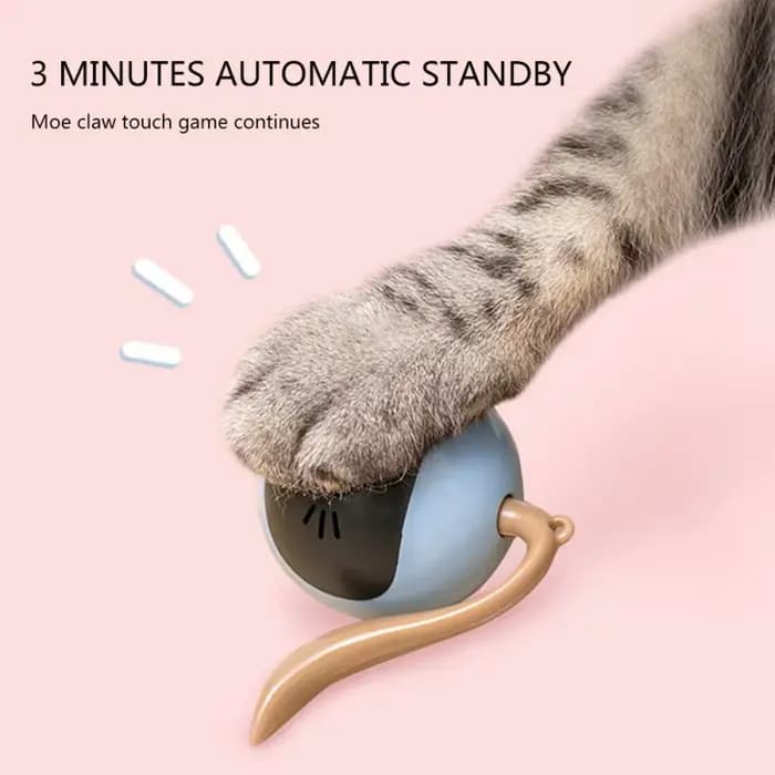 Jouet intelligent automatique pour chat