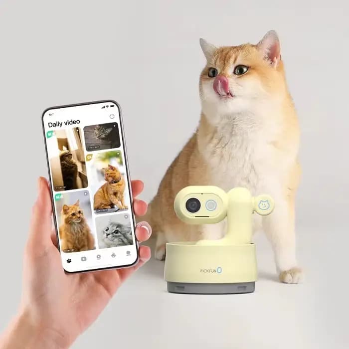 Caméra de vlog pour chat Ai