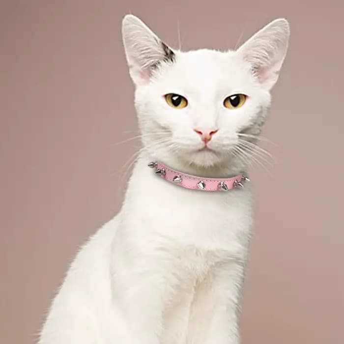 Collier pour chat en cuir anti-morsure, collier pour chat clouté avec pointes, collier réglable pour petits chiens, chiots, chatons, accessoires pour animaux de compagnie