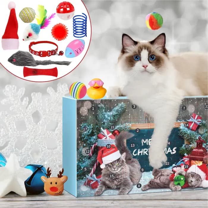 Calendrier de l'avent jouet pour chat 2025