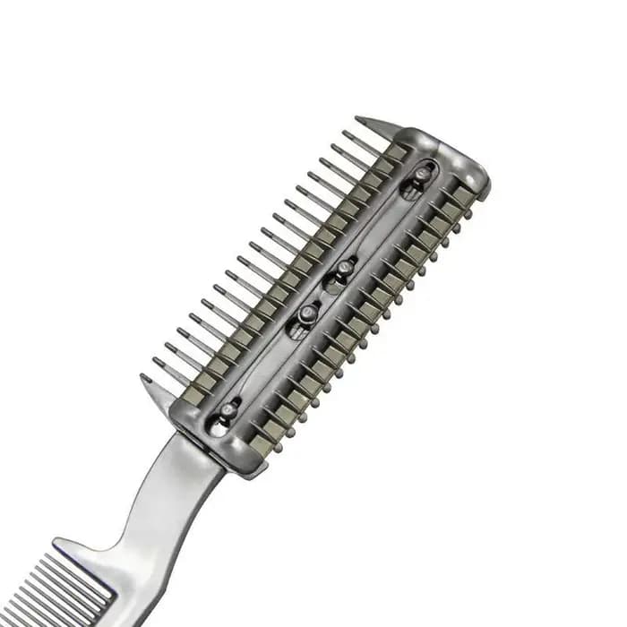 Tondeuse et peigne de toilettage pour animaux de compagnie avec 2 lames
