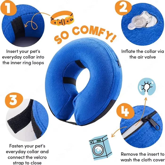 Collier de récupération gonflable pour chien