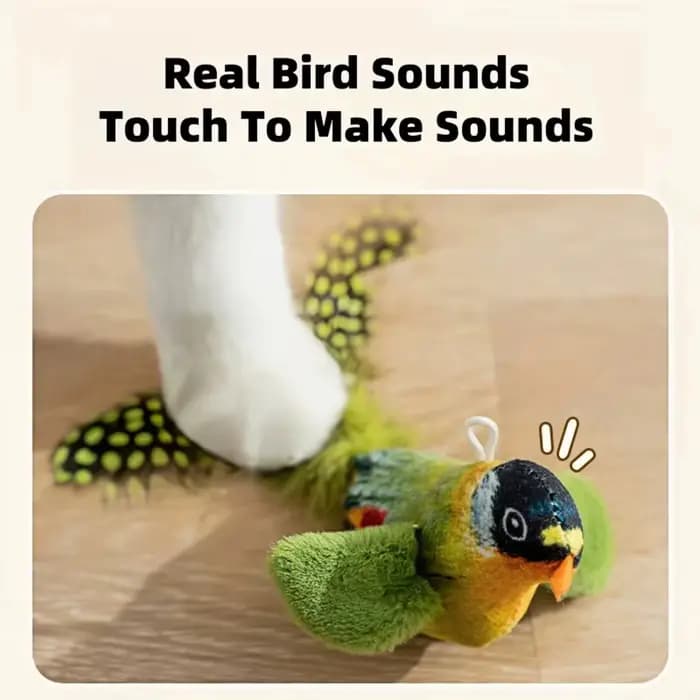 Jouets pour chats d'intérieur