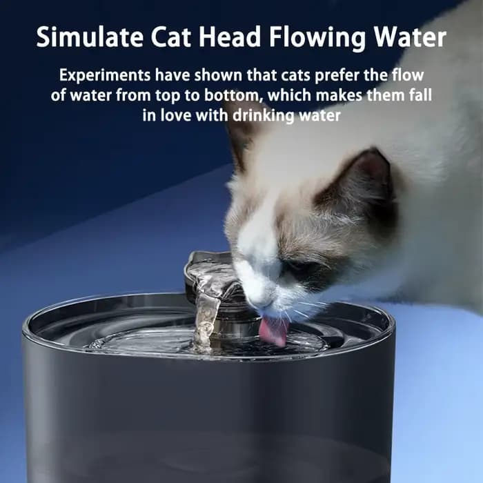 Fontaine d'eau pour chat