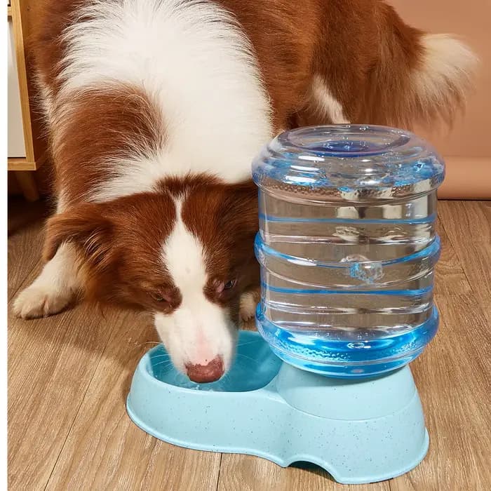 Mangeoires automatiques pour animaux de compagnie