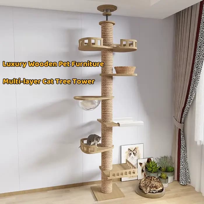 Arbre à chat du sol au plafond avec griffoir