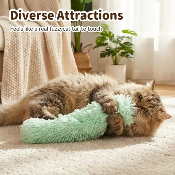 Lot de 3 jouets pour chat : coussinets à herbe à chat