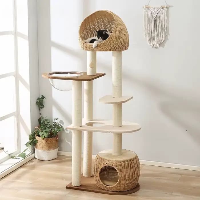 Arbre à chat en bois massif