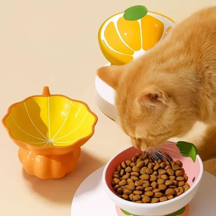 Bol pour chat surélevé en céramique peint à la main