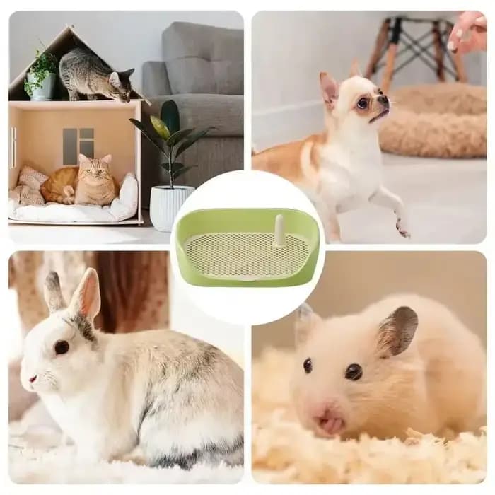 Toilette d'apprentissage pour animaux de compagnie grande taille