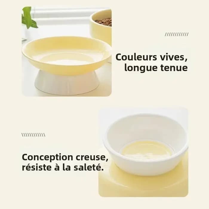 Bol en céramique créatif pour chat