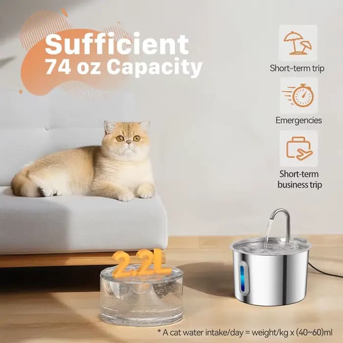 Fontaine à eau pour chat en acier inoxydable avec 4 filtres