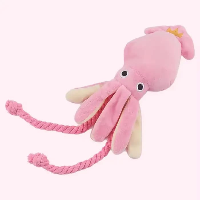 Jouet en peluche pour animaux de compagnie