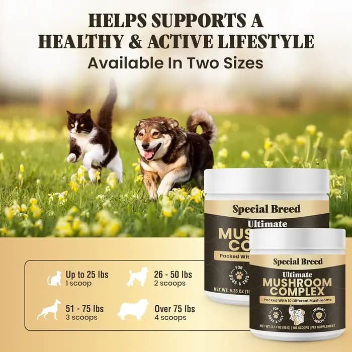 Poudre de champignons 90g pour chiens et chats