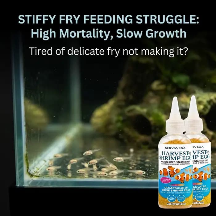 Nourriture pour poissons riches en protéines pour béta et guppy
