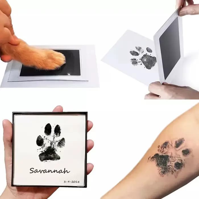 Kit d'empreintes de mains pour animaux de compagnie
