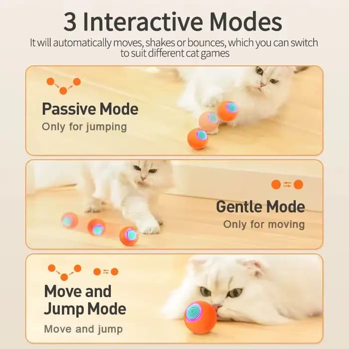 ROJECO – jouets intelligents pour chat