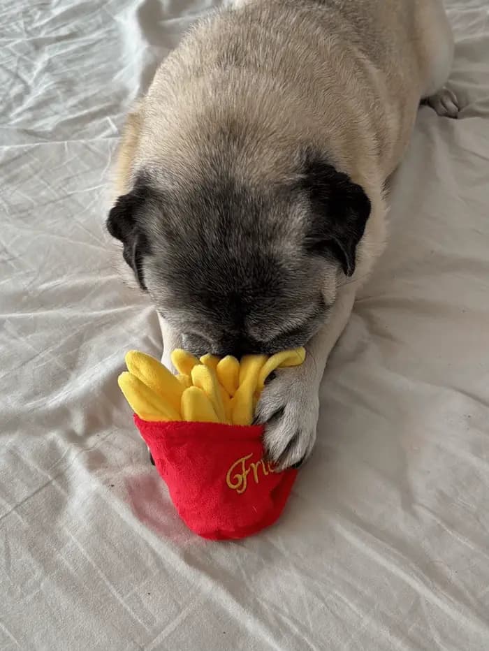 1 jouet en peluche pour animaux de compagnie en forme de frites