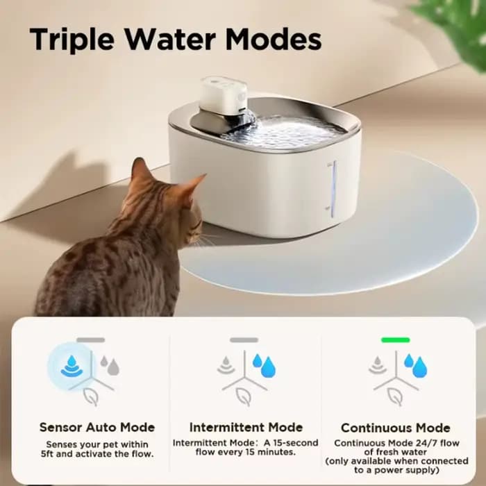 Fontaine à eau sans fil pour animaux de compagnie