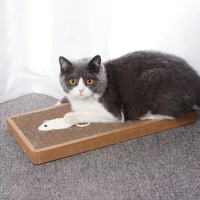 Gratte-chat, tapis à gratter pour chats d'intérieur
