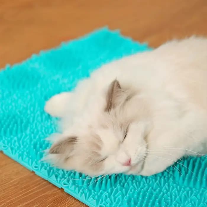 Tapis de massage et grattoir auto-nettoyant pour chat 24x18cm en caoutchouc TPR, brosse anti-démangeaisons pour animaux, jouet de massage pour chat, outil de toilettage et de grattage pour animaux