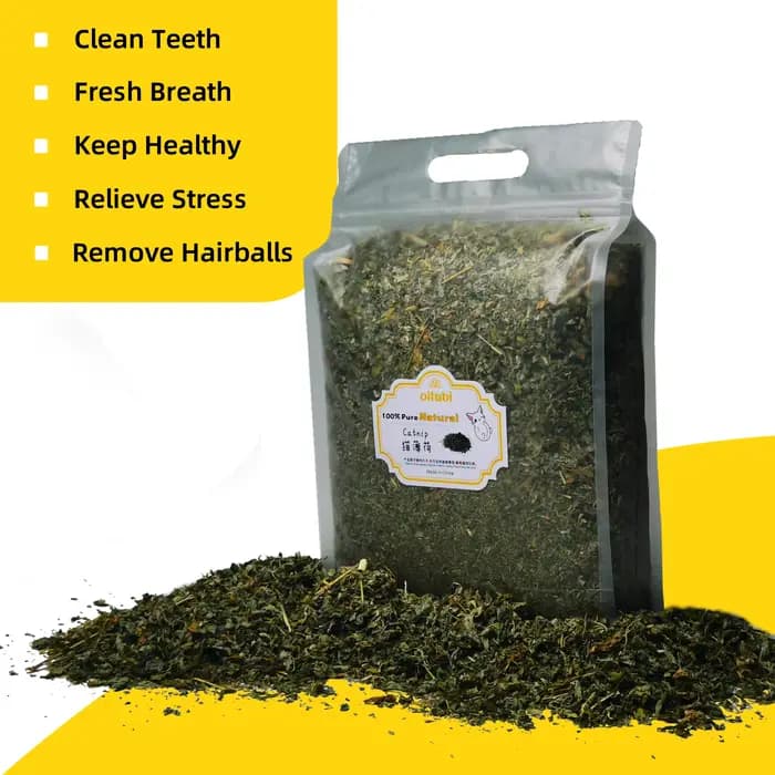 Oitabi 300 g/500 g d'herbe à chat naturelle pour chats et chatons