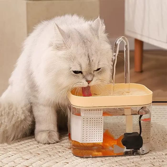 Fontaine à boire transparente pour chat