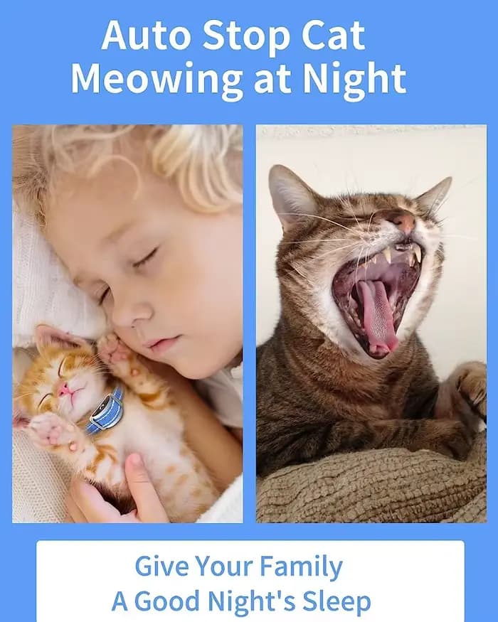 Collier pour chat anti-meow intelligent – 3 modes (son/vibration/choc)