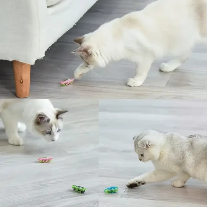 Jouet électrique drôle d'herbe à chat