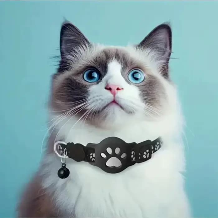Colliers GPS intelligents pour chats