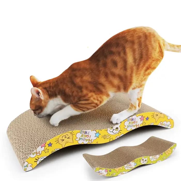Jouets pour chat grattoir