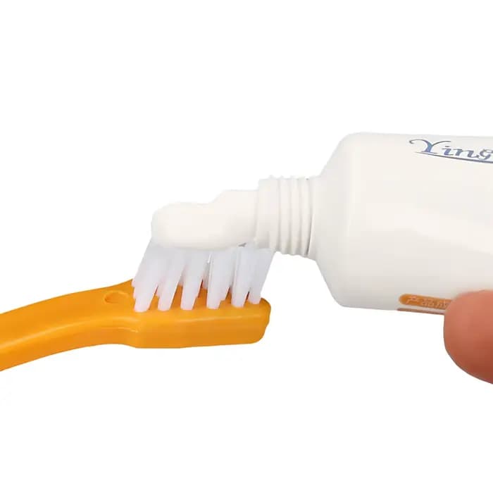 Brosse à dents pour animaux de compagnie
