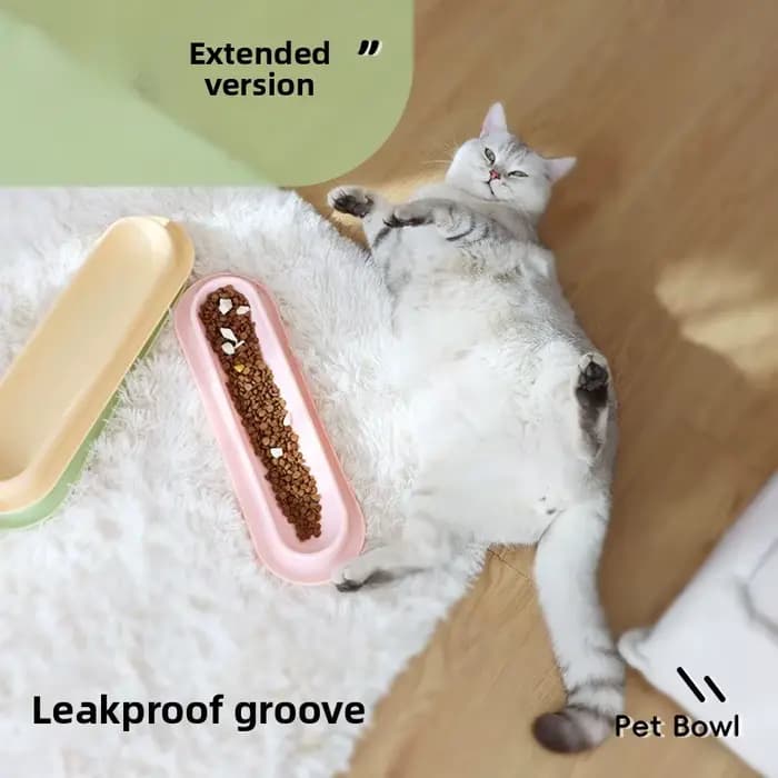 Bol de nourriture pour chat Long avec rainure Anti-fuite, plat d'alimentation pour animaux de compagnie avec eau humide pour empêcher les fourmis et les insectes, bol d'alimentation pour animaux de co