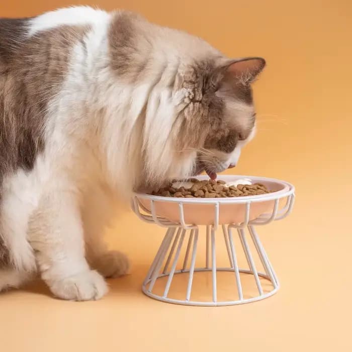 1 ensemble (1 support + 1 bol) bol en céramique pour chat de grande hauteur