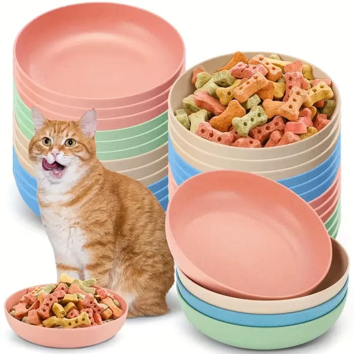 Pack de 4 bols pour chat moustaches - Plats d'alimentation peu profonds