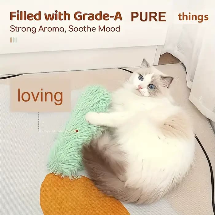 1 jouet à frapper pour chat de type Sandy Cat pour chats d'intérieur - Favorise le mouvement et l'agréable activité ludique