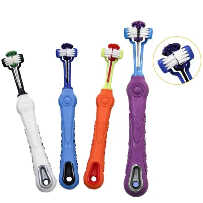 Chien chat brosse mauvaise haleine soins dentaires pour animaux de compagnie