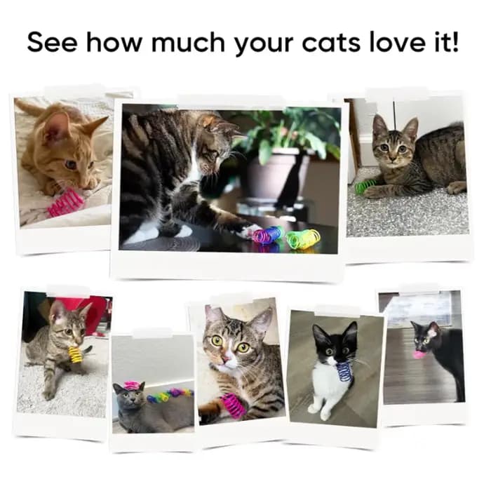 4 jouets pour chats d'intérieur
