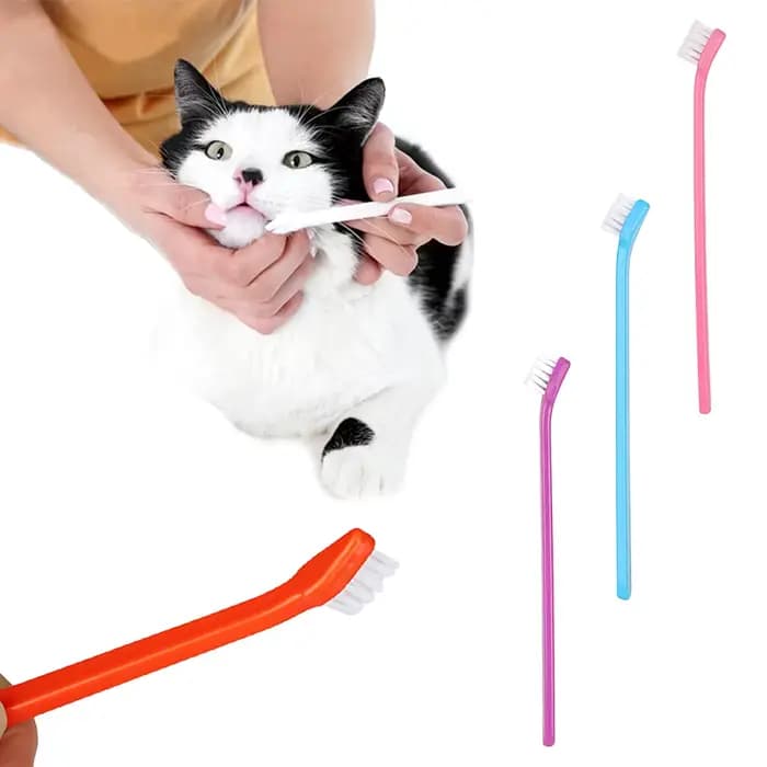 Brosse à dents pour animaux de compagnie