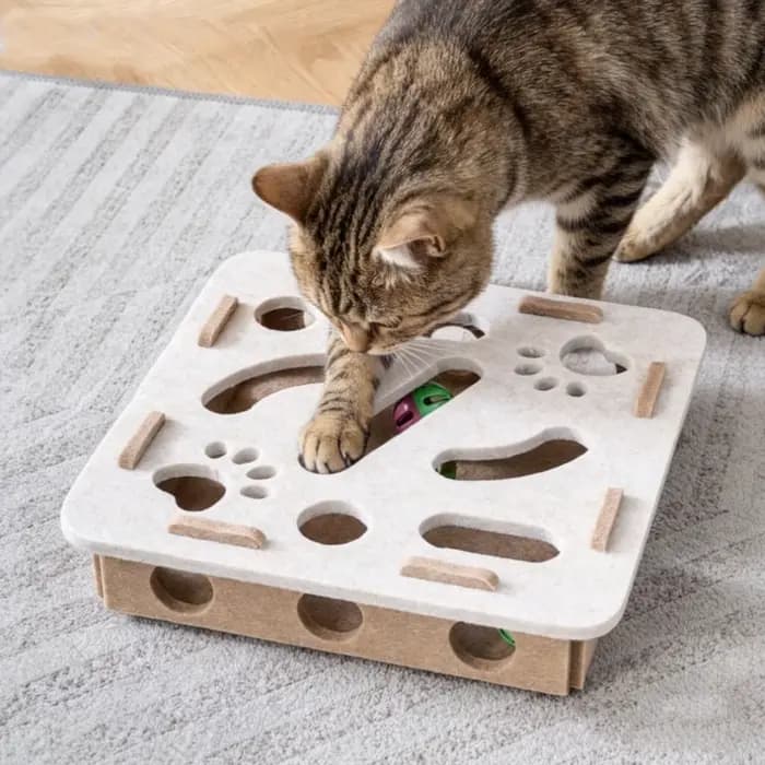 Nouveau jouet de puzzle pour chat
