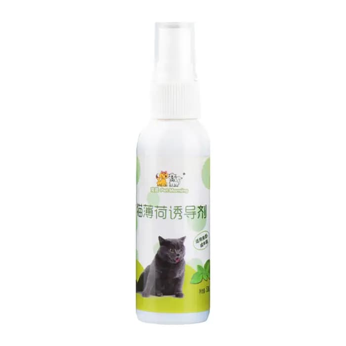 Spray d'herbe à chat pour chat, naturel, sain, sûr, effet à long terme, chatons, attractif, entraînement pour animaux de compagnie, fournitures pour animaux de compagnie, 50ml