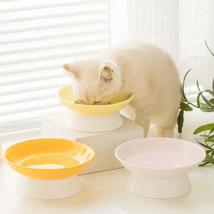 Bol en céramique créatif pour chat
