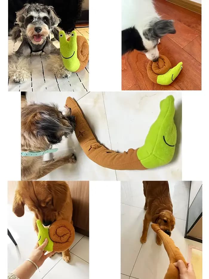 Jouet interactif pour animaux de compagnie