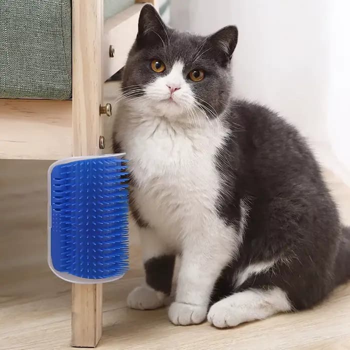 Masseur à gratter pour chats